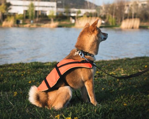 NAVY Kutya mentőmellény, Mentőmellény kutyáknak 0-8kg